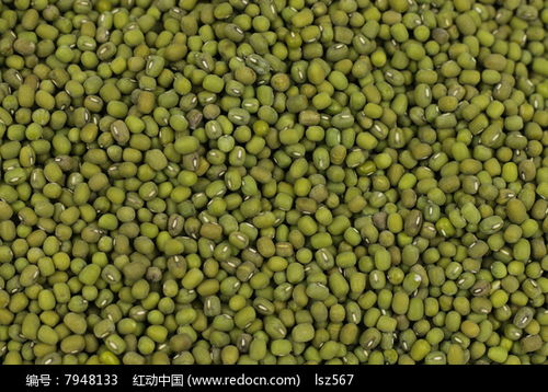 農(nóng)副產(chǎn)品綠豆高清圖片下載與紅動(dòng)網(wǎng)食品銷售